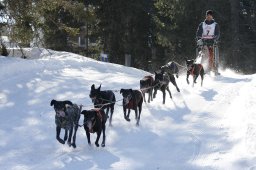 San Bernardino 2011